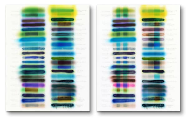 SunTest #12 (Day 5 & 11), 2020 time-based image capture; dye sublimation on aluminum 42 x 33" each (diptych)