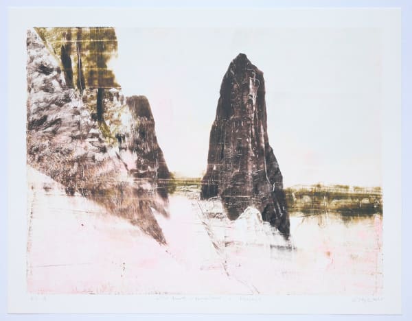 Wild Beauty - Remembered - Passage 1, 2025 Monotype print on gampi and kozo mounted on Somerset cotton rag 18 x 24" image 20 x 26" paper 23.5 x 29.5" framed