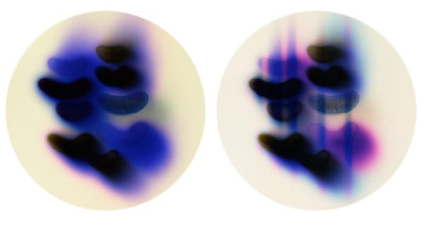 Jaq Chartier, SunTest #34 (Day 1 & 8), 2022