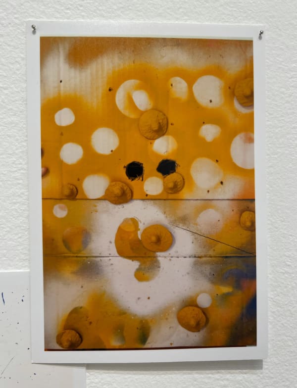 Lee Materazzi, ¢a$h&¢arry 215