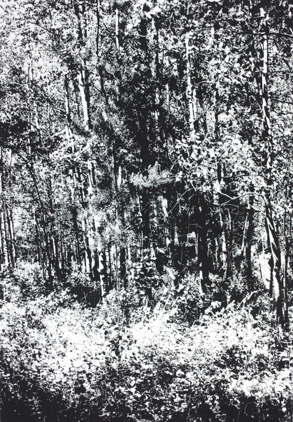 James Chronister, Summer 3, 2016