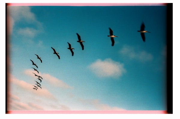 Paul Ferraris, Formations