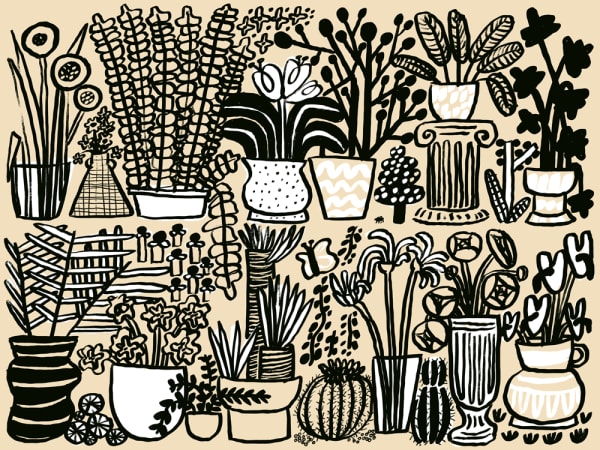 Carissa Potter, Plants, 2023