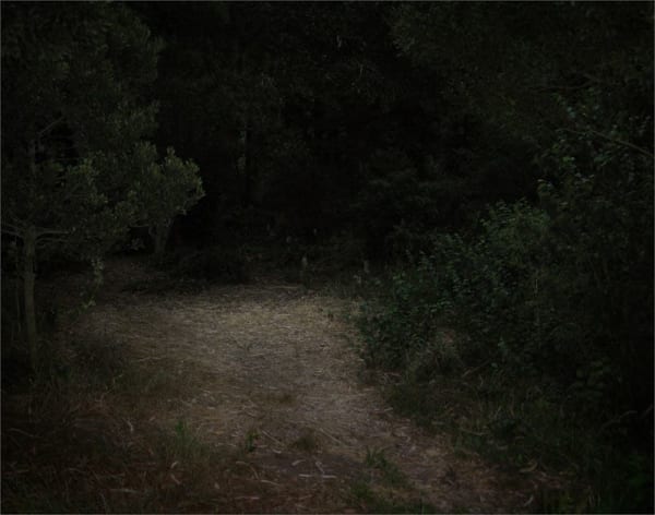 Sean McFarland, Untitled, 2008