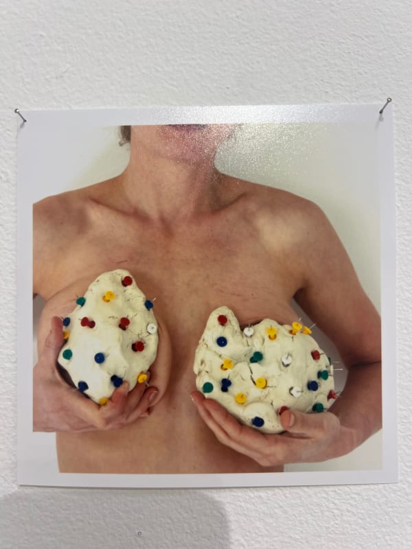 Lee Materazzi, ¢a$h&¢arry 15