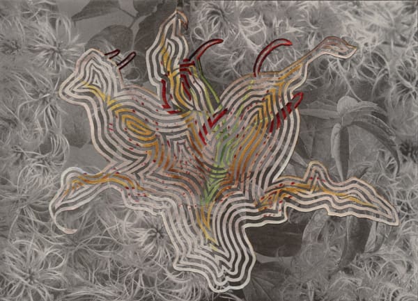 Alexis Anne Mackenzie, The World's Most Beautiful Freeway, 2014