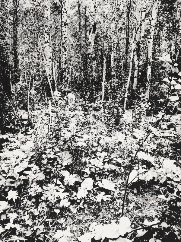 James Chronister, Deinze (3), 201819