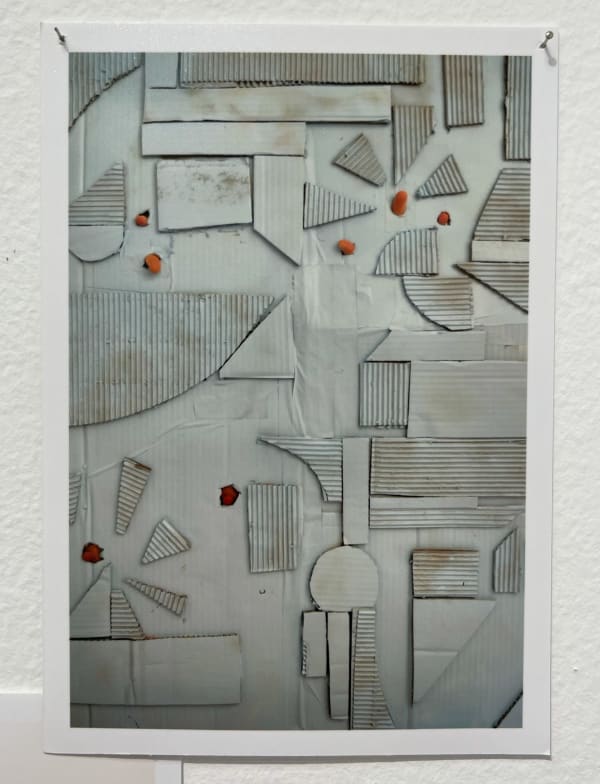 Lee Materazzi, ¢a$h&¢arry 120