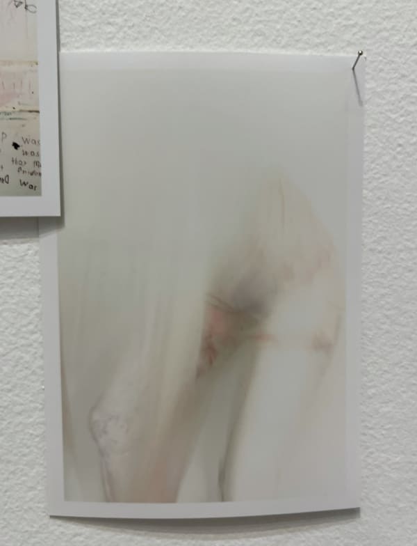 Lee Materazzi, ¢a$h&¢arry 167