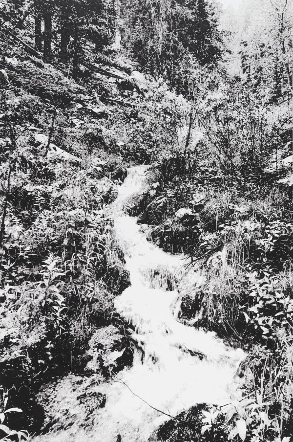 James Chronister, Your Days , 2022