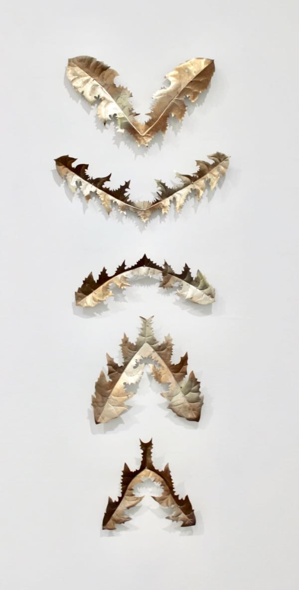 Kirk Maxson, Trail of Tears, 2017