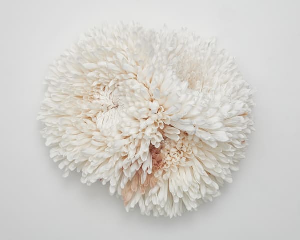 Tiffanie Turner - Three Chrysanthemums, 2020