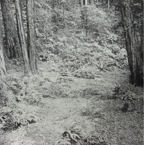 James Chronister, Now We Lustre (Passage), 2010