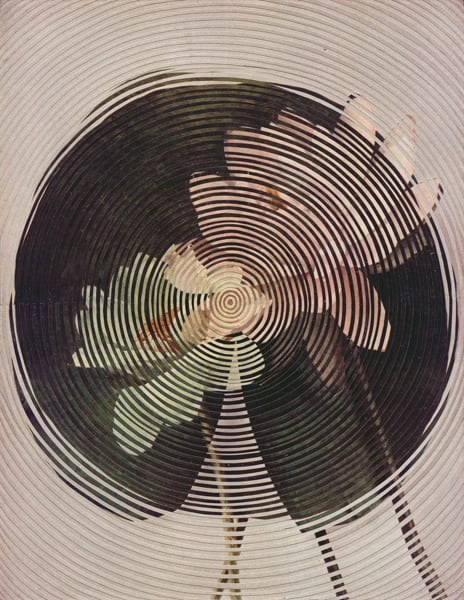 Alexis Anne Mackenzie, Lily Is In Love, 2014