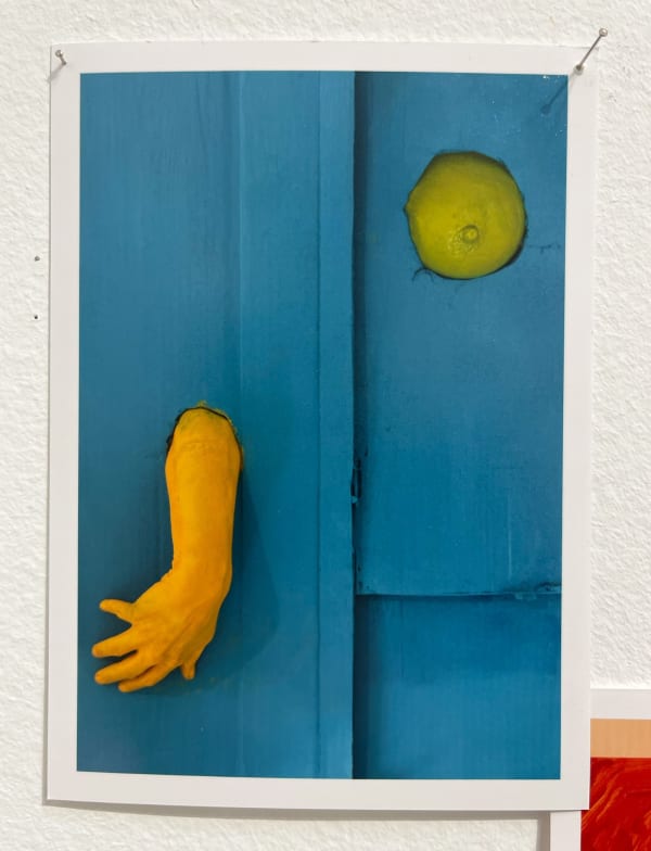 Lee Materazzi, ¢a$h&¢arry 197