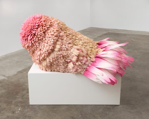 Tiffanie Turner, Indurate (of a size that is remarkable), 2023