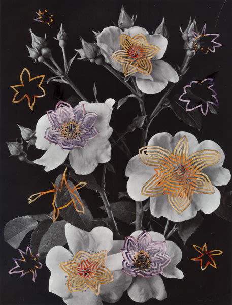 Alexis Anne Mackenzie, Welcome Stranger, 2014