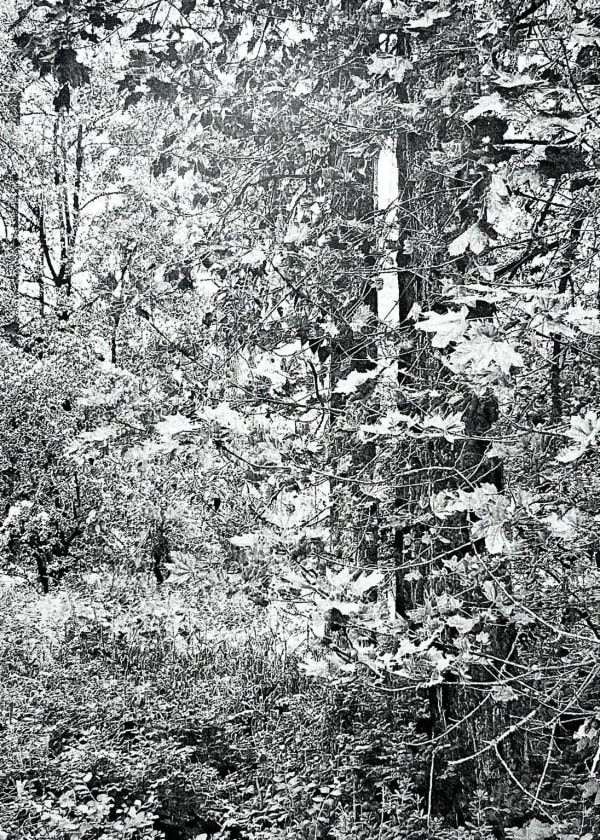 James Chronister, I'd Still Meet You Anywhere, 2022