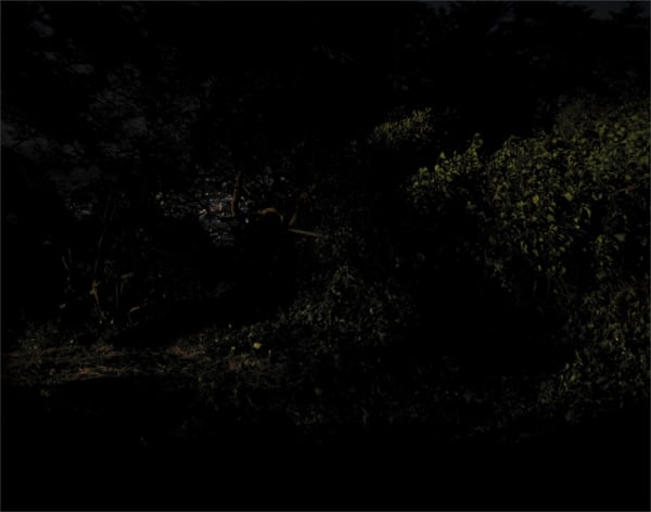 Sean McFarland, Untitled, 2008