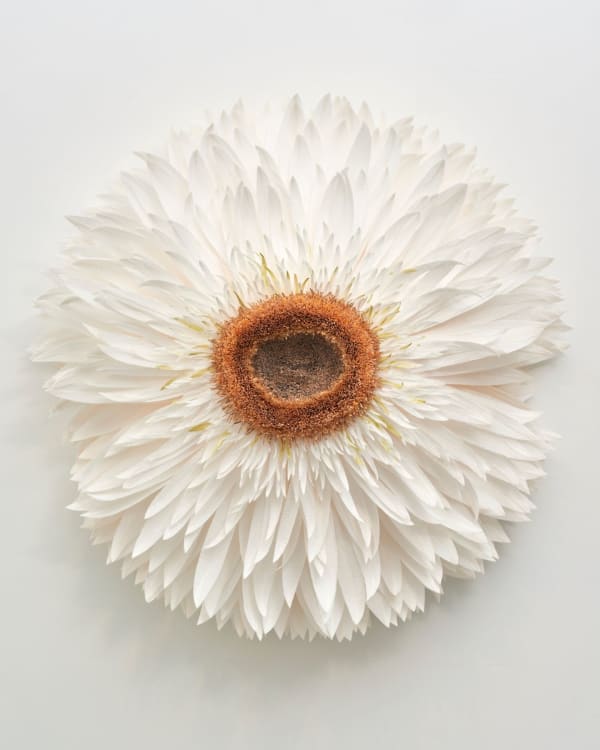 Tiffanie Turner, Specimen F (Strawflower) , 2019