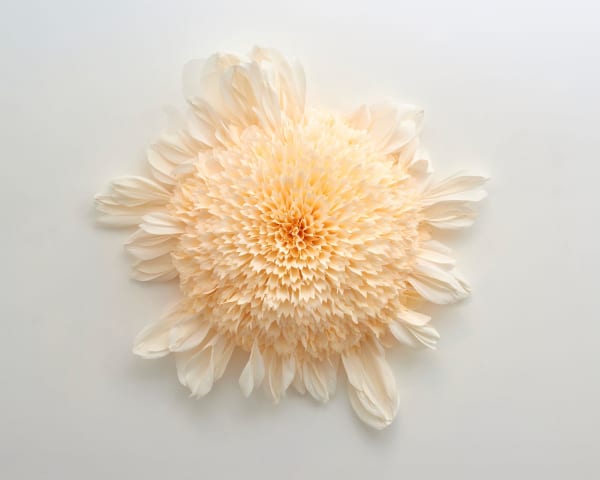 Tiffanie Turner, Specimen E (Platinum Blonde), 2019