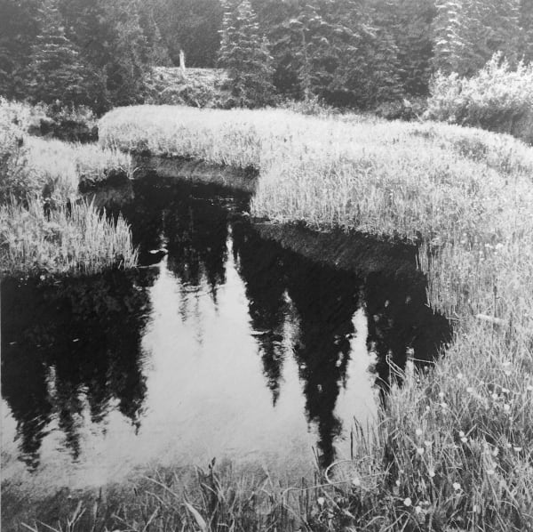 James Chronister, A Reflection, 2013