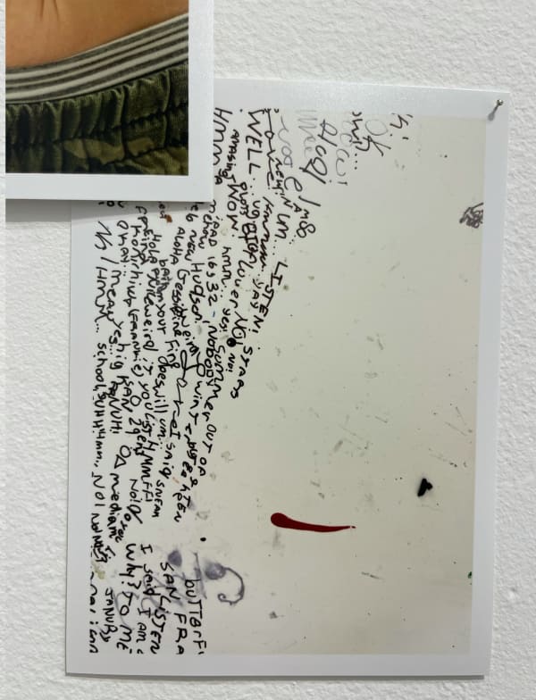 Lee Materazzi, ¢a$h&¢arry 226