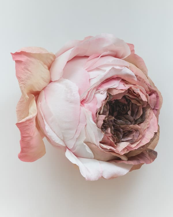 Tiffanie Turner, Excerpt from Still Life with Flowers on a Marble Table Top, 2023