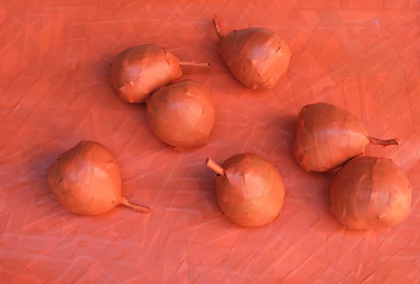 Lee Materazzi, Janis Pears