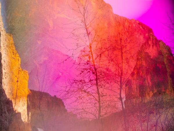 Terri Loewenthal - Hualapai Canyon, 2020