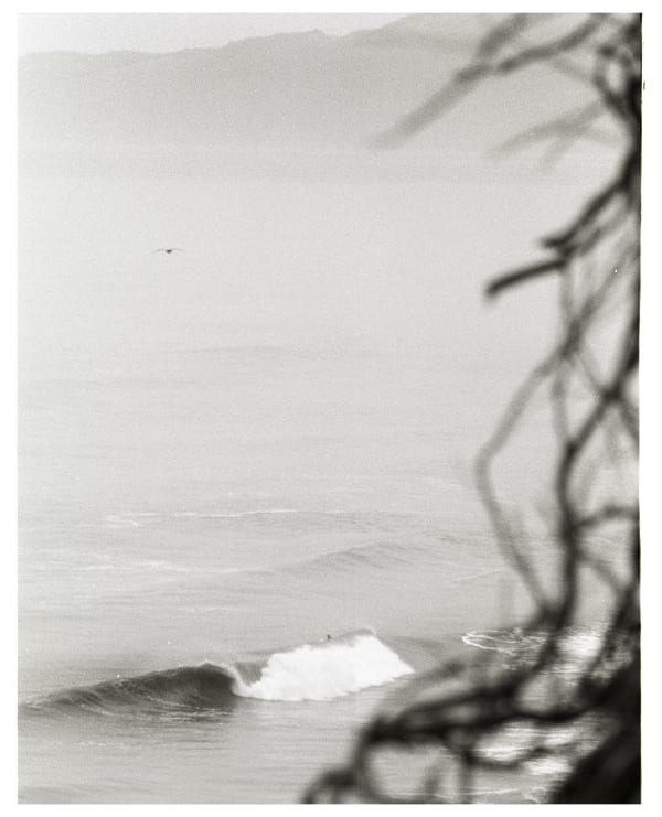 Paul Ferraris, Roots