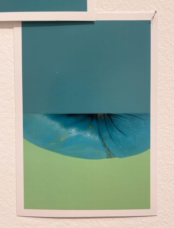 Lee Materazzi, ¢a$h&¢arry 208