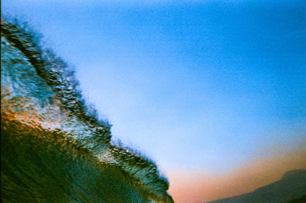 Dana Shaw, Harvest , 2019