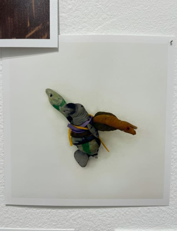 Lee Materazzi, ¢a$h&¢arry 161