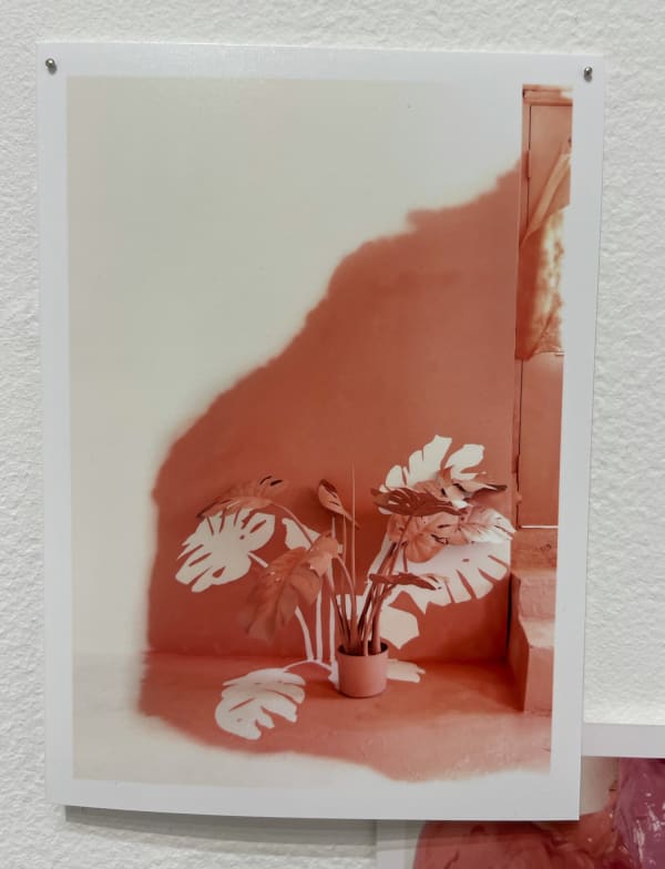 Lee Materazzi, ¢a$h&¢arry 164