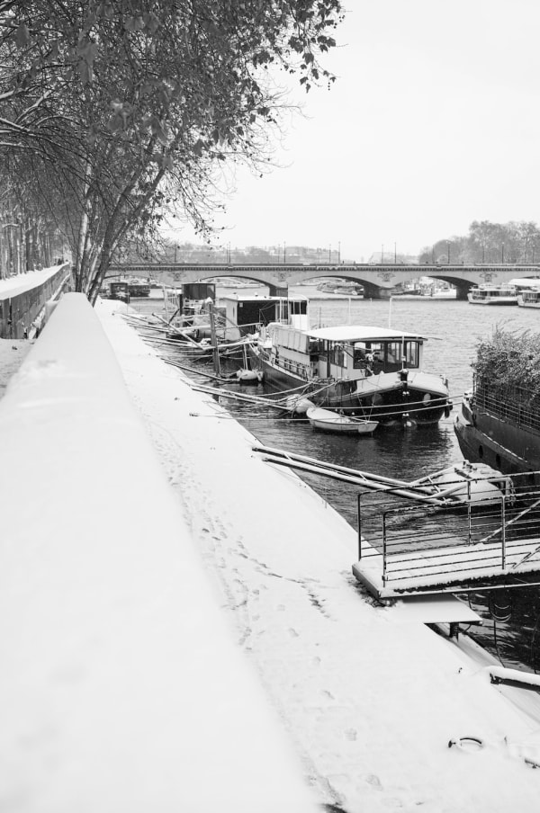 Margaux Panel, Avenue de New York, Paris - France, 2026