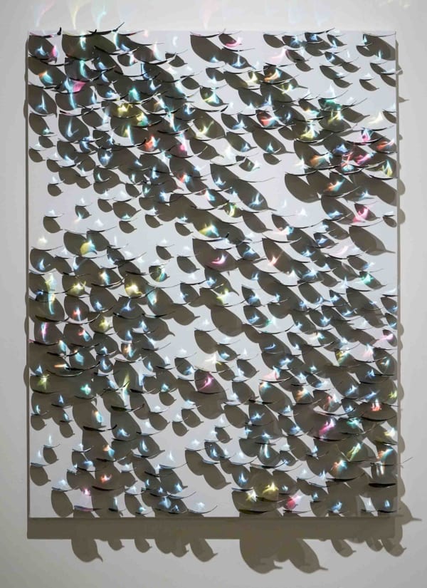 Yong R. Kwon - 權 容 來, Eternal Flame - Ficus Benjamina, 2023