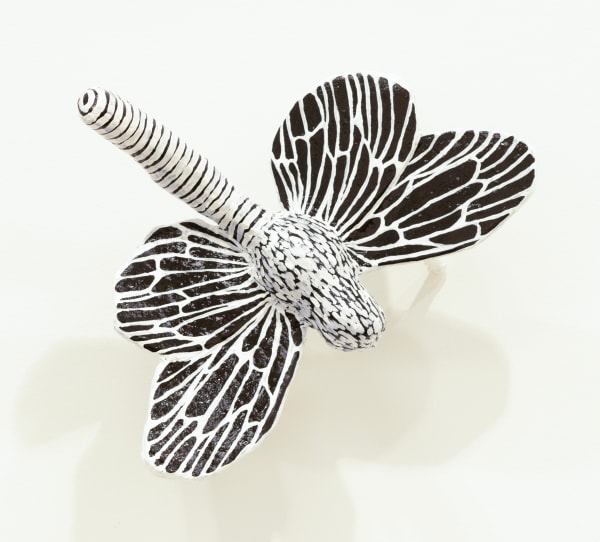 Annika Earley, Butterfly 1 (flat wings)