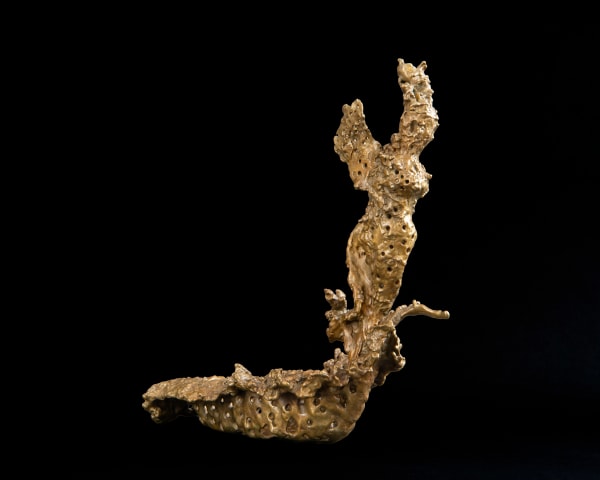 Celeste Roberge, Women of the Gulf of Maine #23, 2023