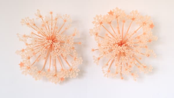 Elijah Ober, GREAT_GREAT.GREAT_GREAT