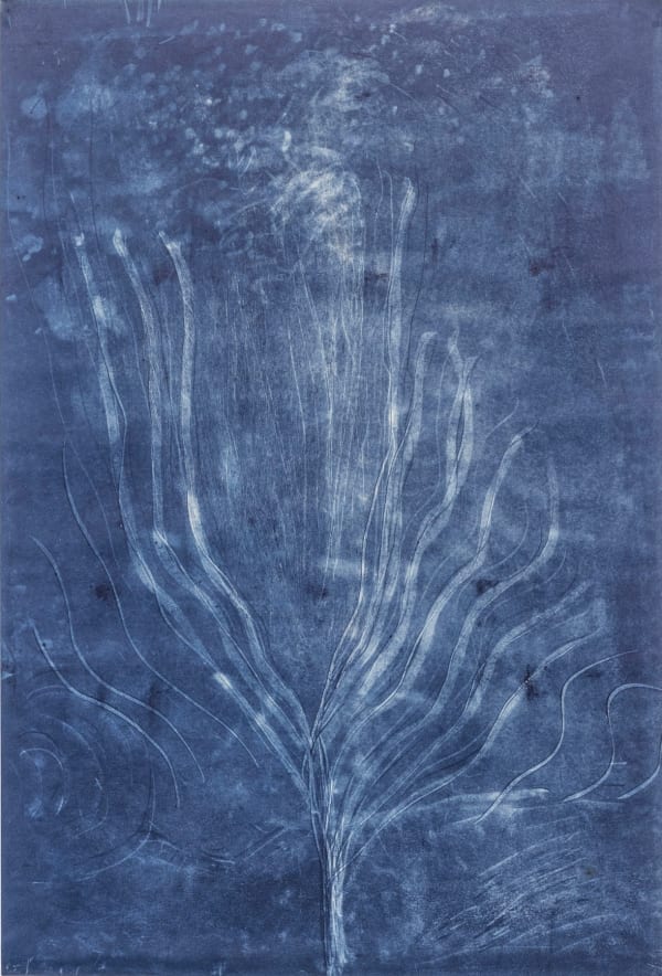 Anne Neely, Blue Series #2