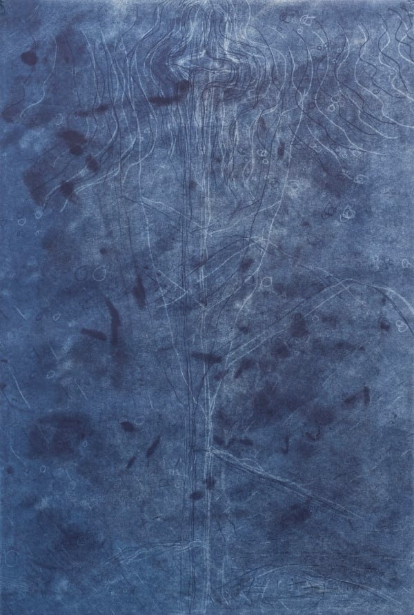 Anne Neely, Blue Series #1