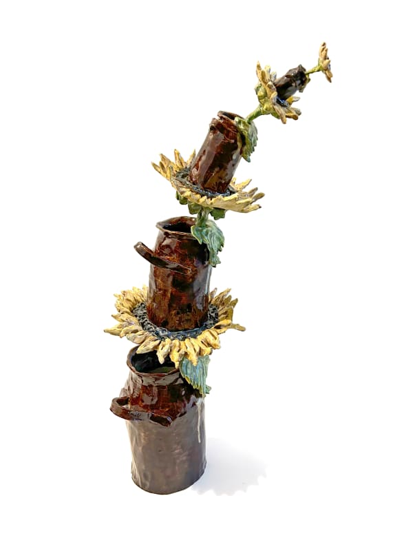 Valerie Hegarty, Sunflower Fractals