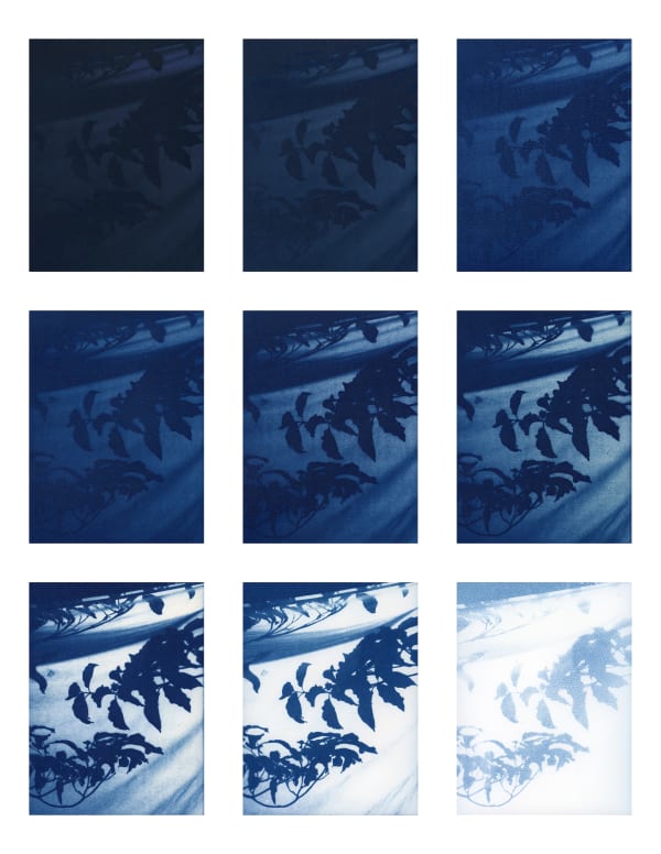 Emily Sheffer Winter Solstice, 7am - 3pm Cyanotype 37 x 28 in 94 x 71.1 cm