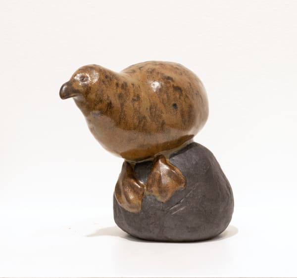 Torrie Dorsey, Bird on Rocks 1