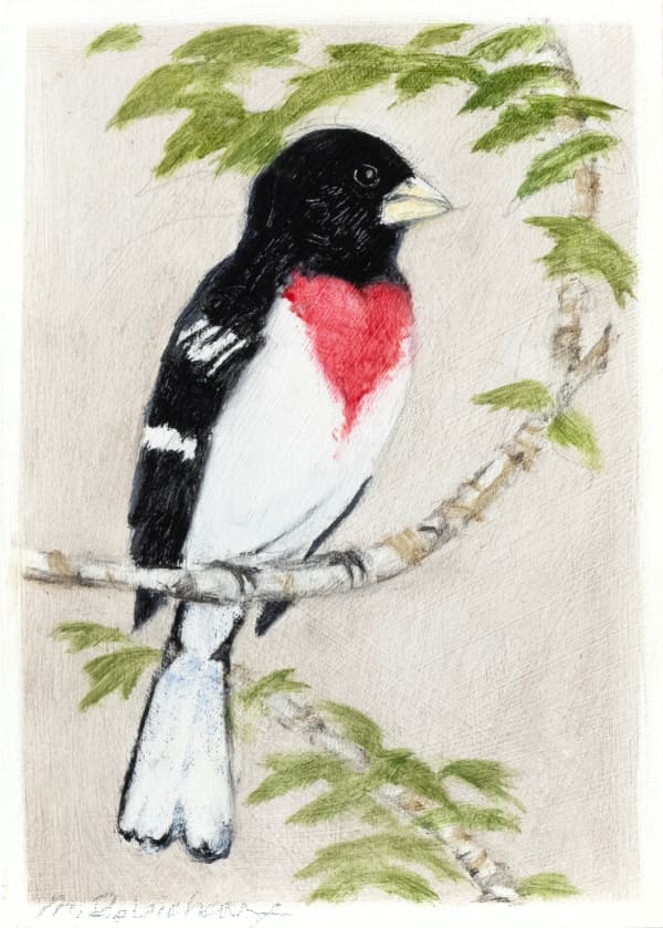 Marguerite Robichaux Rose Breasted Grosbeak Oil on panel 7 x 5 in 17.8 x 12.7 cm