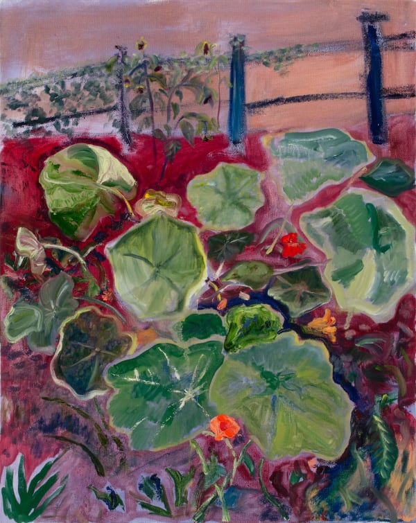 Alice Jones, Nasturtiums