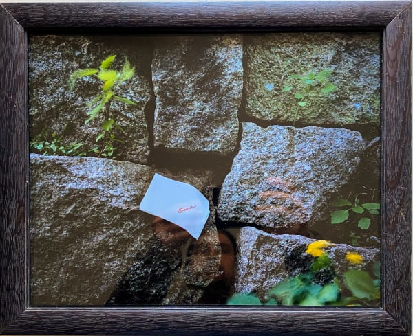 Rose Marasco, Frances, 1994