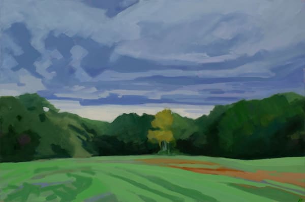 Anne Ireland, Storm Clearing