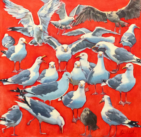 Alison Hill, Red Gulls